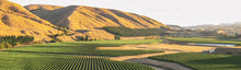 Load image into Gallery viewer, Urlar 2021 Sauvignon Blanc Gladstone  $19.99
