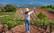 Load image into Gallery viewer, Terroir de Zinio 2018 Rioja Crianza
