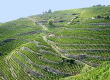 Load image into Gallery viewer, JL Chave 2020 L&#39;Hermitage   (Northern Rhone)
