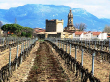 Load image into Gallery viewer, Urbina 2000 Rioja &quot;Seleccion&quot;
